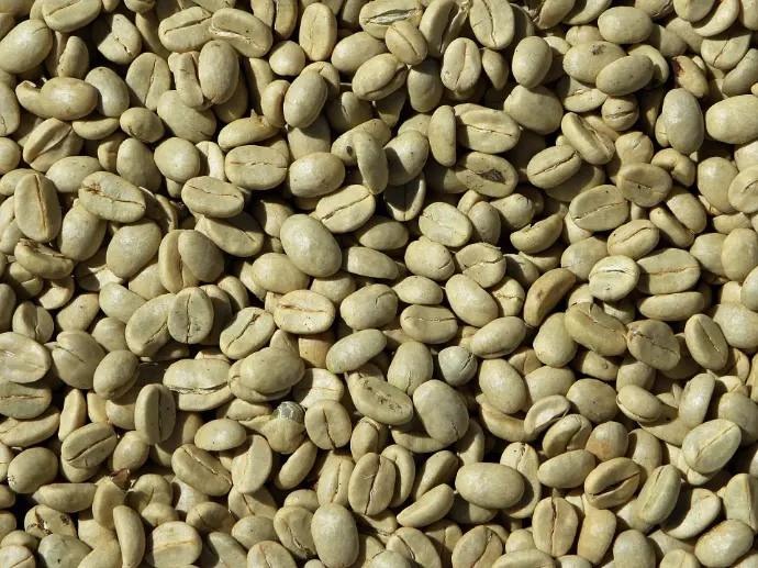 Coffee Beans