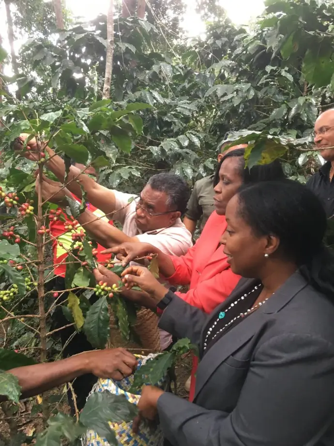 East Timor Community