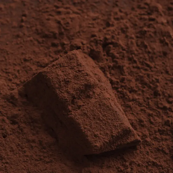 Cocoa Powder